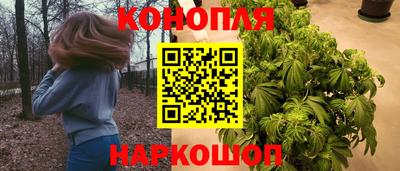 МДПВ Заводоуковск