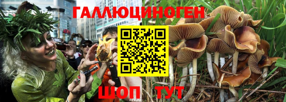 Галлюциногенные грибы мицелий  Галлюциногенные грибы Psilocybine cubensis  Вход с VPN  Новый Уренгой 